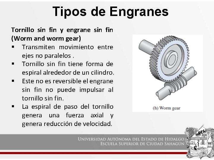 Tipos de Engranes Tornillo sin fin y engrane sin fin (Worm and worm gear)
