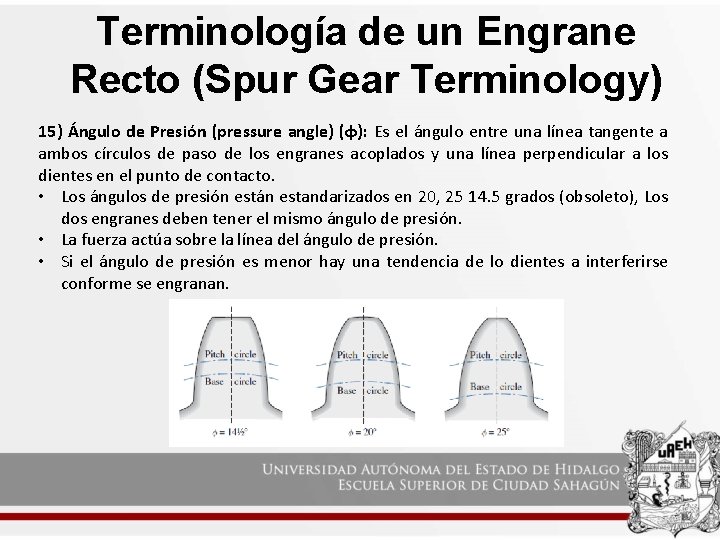 Terminología de un Engrane Recto (Spur Gear Terminology) 15) Ángulo de Presión (pressure angle)