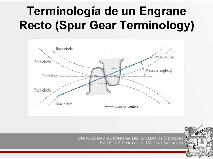 Terminología de un Engrane Recto (Spur Gear Terminology) 