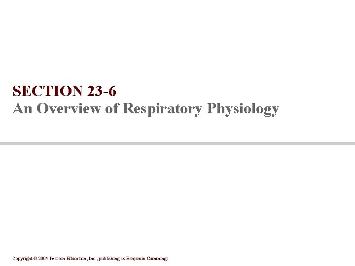 SECTION 23 -6 An Overview of Respiratory Physiology Copyright © 2004 Pearson Education, Inc.