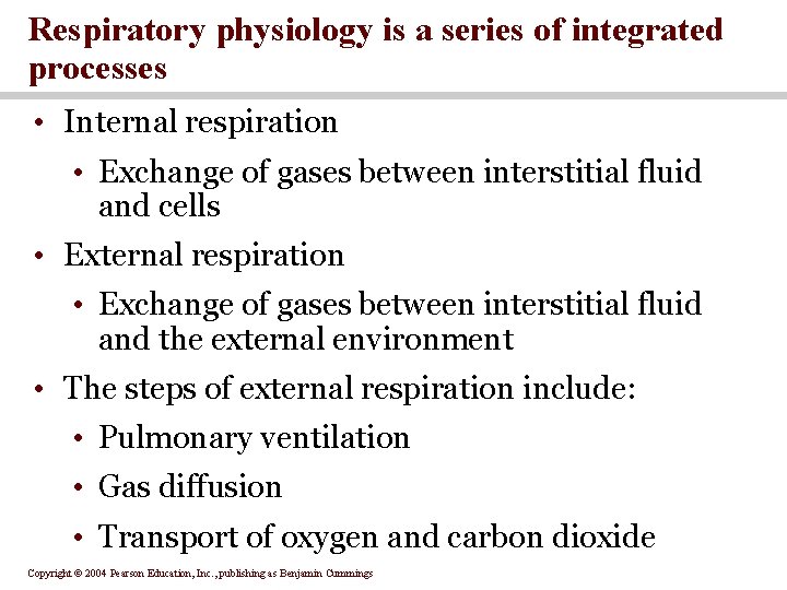 Respiratory physiology is a series of integrated processes • Internal respiration • Exchange of