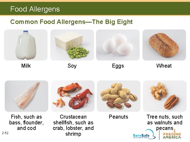 Food Allergens Common Food Allergens—The Big Eight 2 -52 Milk Soy Eggs Wheat Fish, Food Allergens Common Food Allergens—The Big Eight 2 -52 Milk Soy Eggs Wheat Fish,
