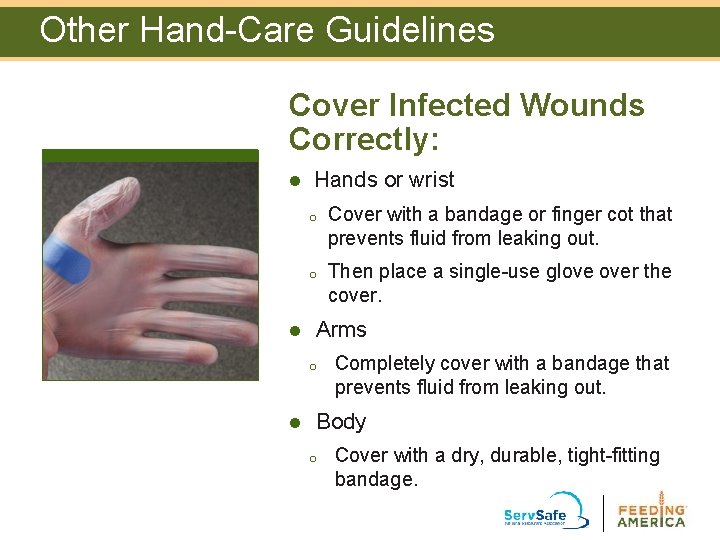 Other Hand-Care Guidelines Cover Infected Wounds Correctly: l l Hands or wrist o Cover Other Hand-Care Guidelines Cover Infected Wounds Correctly: l l Hands or wrist o Cover