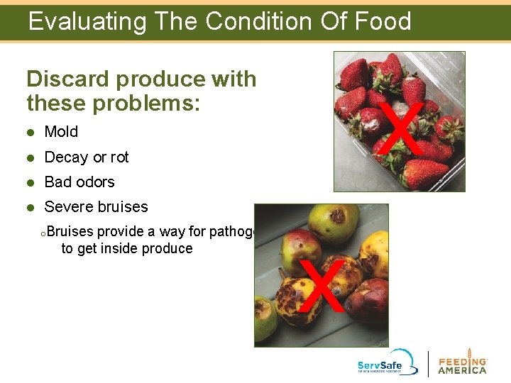 Evaluating The Condition Of Food x Discard produce with these problems: l Mold l Evaluating The Condition Of Food x Discard produce with these problems: l Mold l