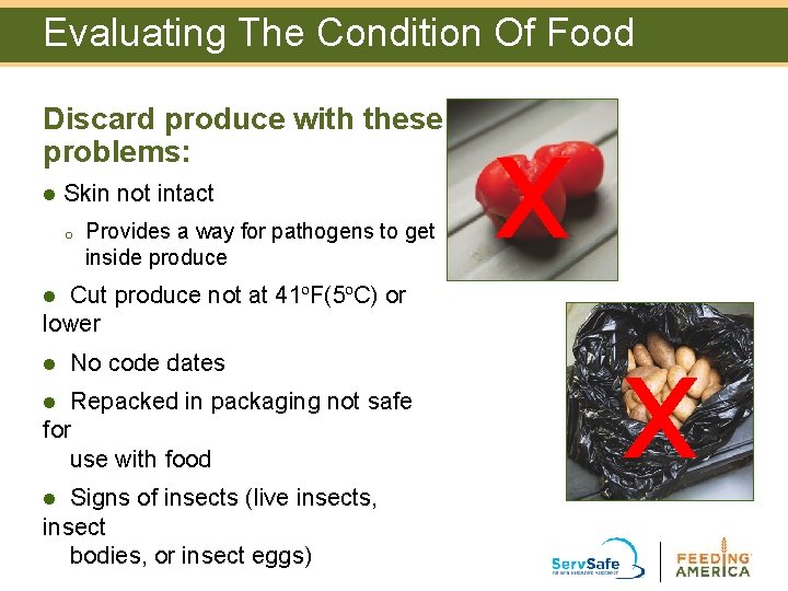 Evaluating The Condition Of Food Discard produce with these problems: l Skin not intact Evaluating The Condition Of Food Discard produce with these problems: l Skin not intact