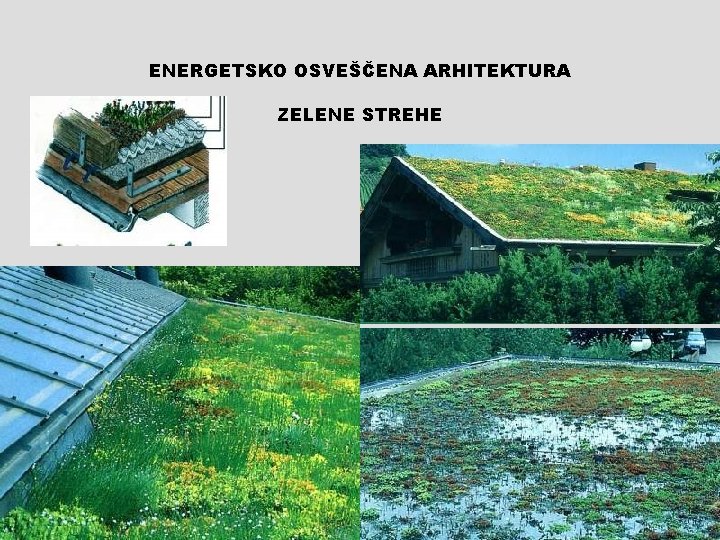 ENERGETSKO OSVEŠČENA ARHITEKTURA ZELENE STREHE 