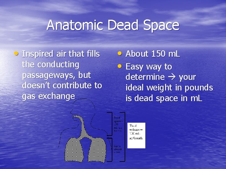 Anatomic Dead Space • Inspired air that fills the conducting passageways, but doesn’t contribute Anatomic Dead Space • Inspired air that fills the conducting passageways, but doesn’t contribute