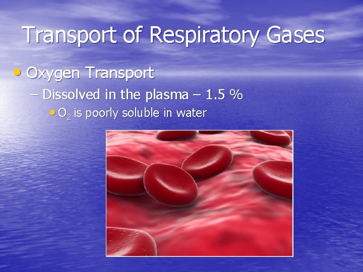 Transport of Respiratory Gases • Oxygen Transport – Dissolved in the plasma – 1.