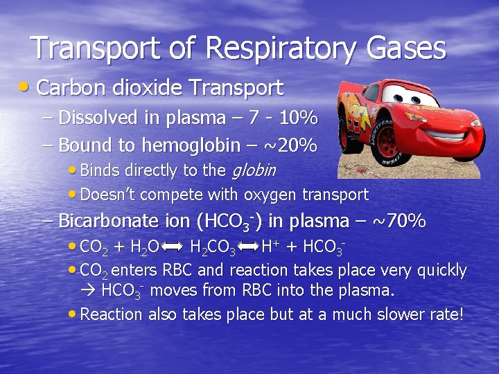 Transport of Respiratory Gases • Carbon dioxide Transport – Dissolved in plasma – 7