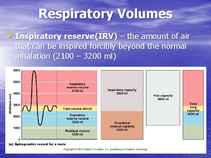 Respiratory Volumes • Inspiratory reserve(IRV) – the amount of air that can be inspired