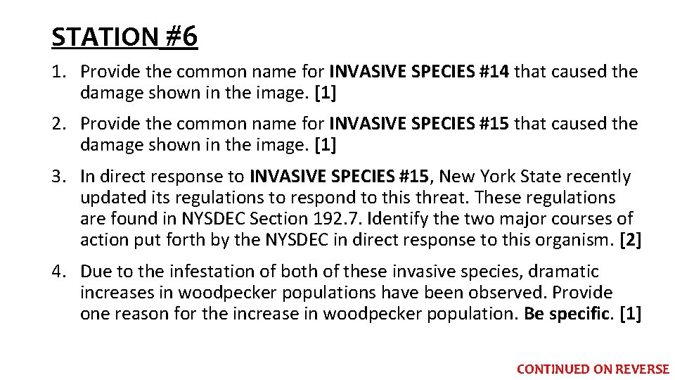 STATION #6 1. Provide the common name for INVASIVE SPECIES #14 that caused the