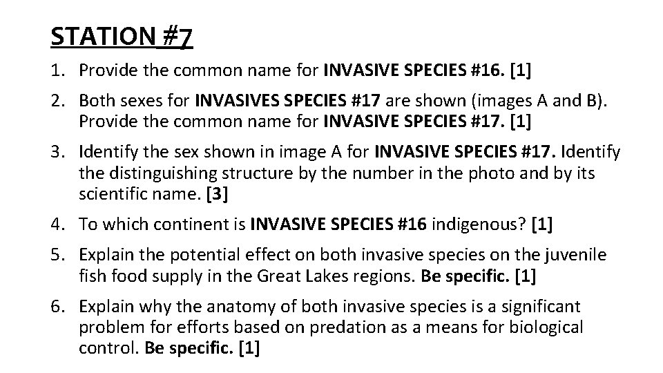 STATION #7 1. Provide the common name for INVASIVE SPECIES #16. [1] 2. Both