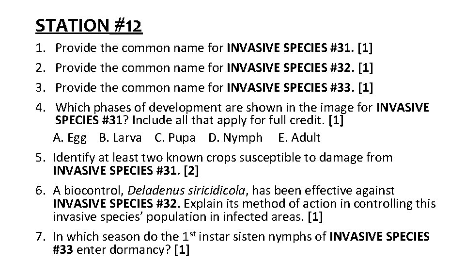 STATION #12 1. 2. 3. 4. Provide the common name for INVASIVE SPECIES #31.