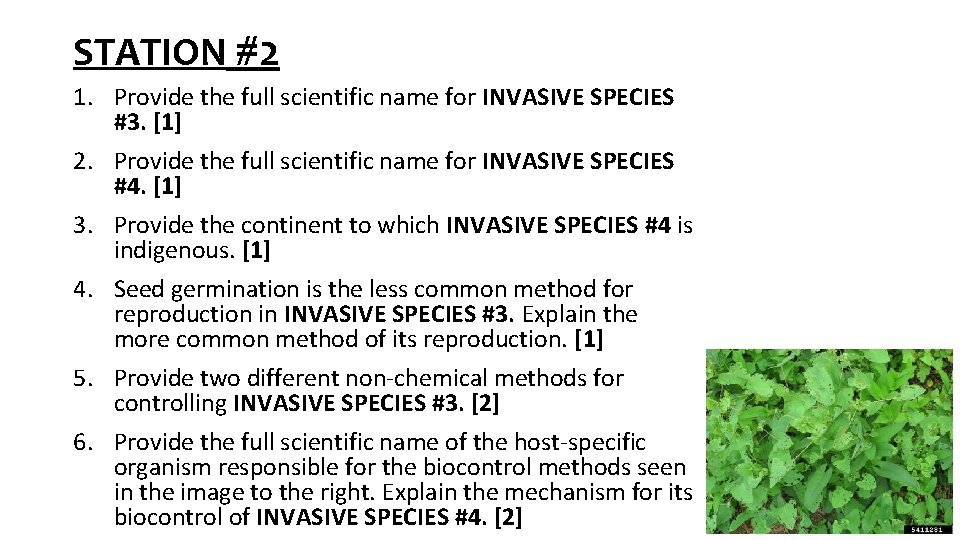 STATION #2 1. Provide the full scientific name for INVASIVE SPECIES #3. [1] 2.