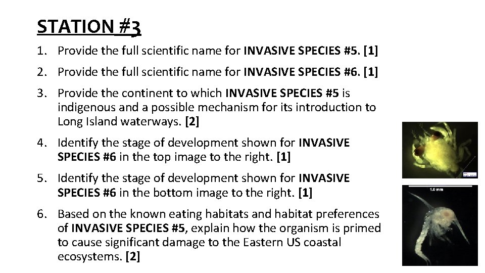 STATION #3 1. Provide the full scientific name for INVASIVE SPECIES #5. [1] 2.