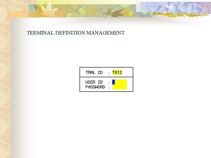 TERMINAL DEFINITION MANAGEMENT 