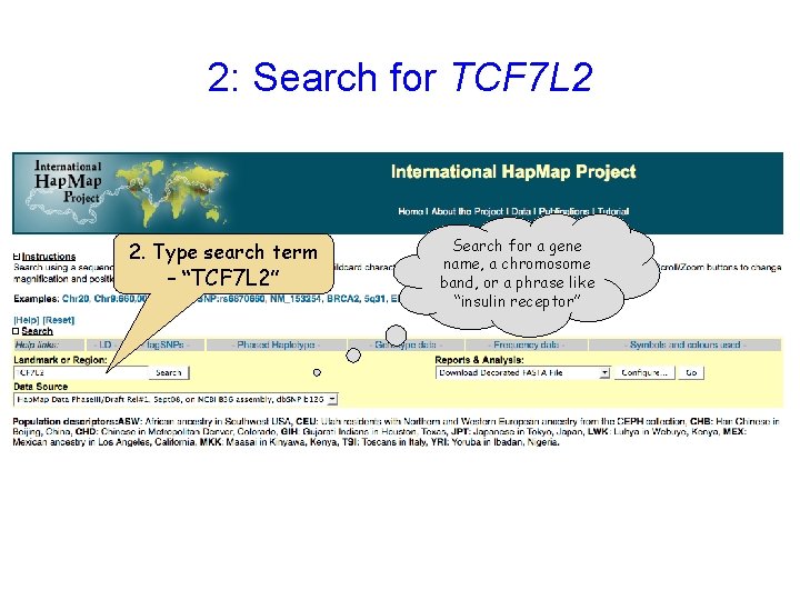 2: Search for TCF 7 L 2 2. Type search term – “TCF 7