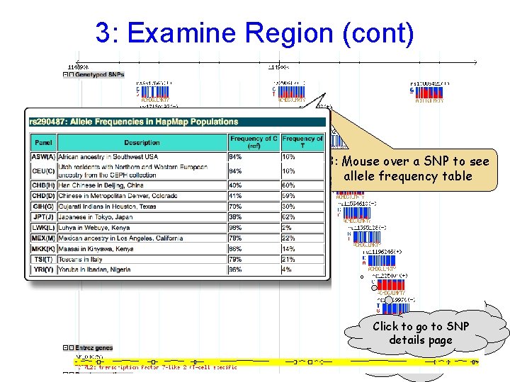 3: Examine Region (cont) Use the Scroll/Zoom buttons and menu to change position &