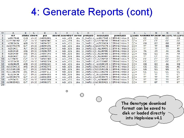 4: Generate Reports (cont) The Genotype download format can be saved to disk or