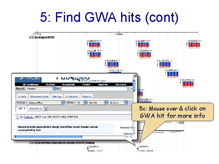 5: Find GWA hits (cont) 5 c: Mouse over & click on GWA hit
