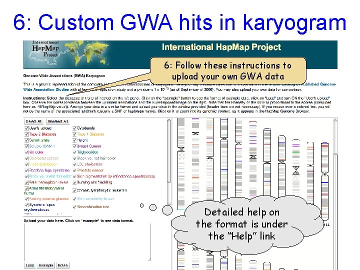 6: Custom GWA hits in karyogram 6: Follow these instructions to upload your own