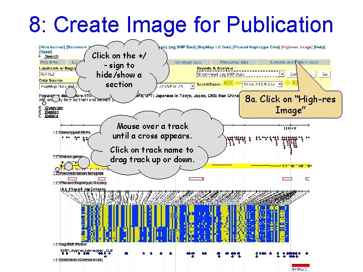 8: Create Image for Publication Click on the +/ - sign to hide/show a