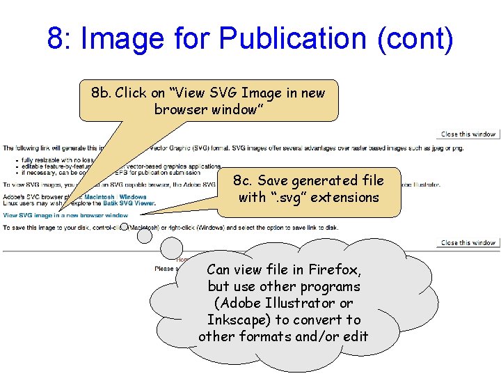 8: Image for Publication (cont) 8 b. Click on “View SVG Image in new