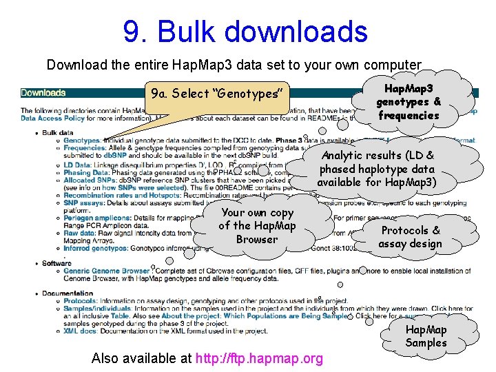 9. Bulk downloads Download the entire Hap. Map 3 data set to your own