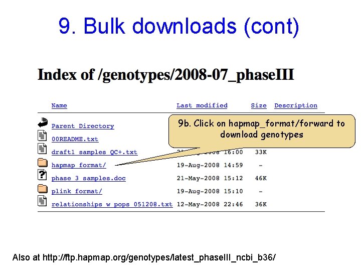 9. Bulk downloads (cont) 9 b. Click on hapmap_format/forward to download genotypes Also at