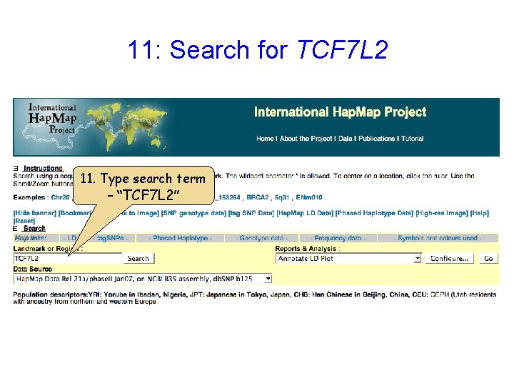 11: Search for TCF 7 L 2 11. Type search term – “TCF 7