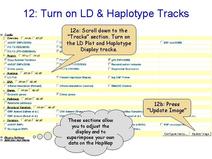 12: Turn on LD & Haplotype Tracks 12 a: Scroll down to the “Tracks”