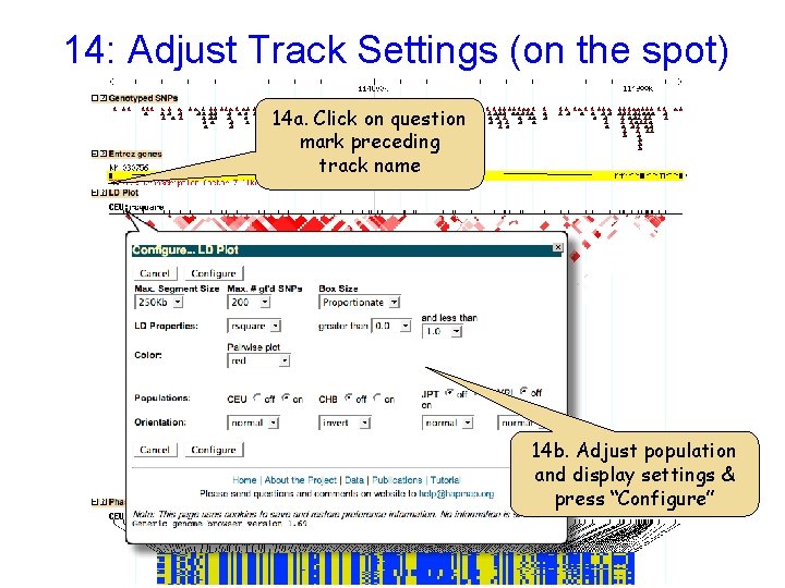 14: Adjust Track Settings (on the spot) 14 a. Click on question mark preceding