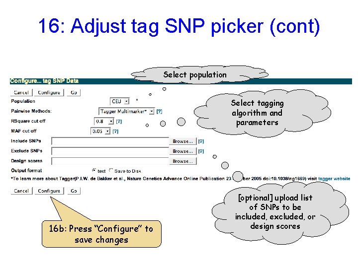 16: Adjust tag SNP picker (cont) Select population Select tagging algorithm and parameters 16