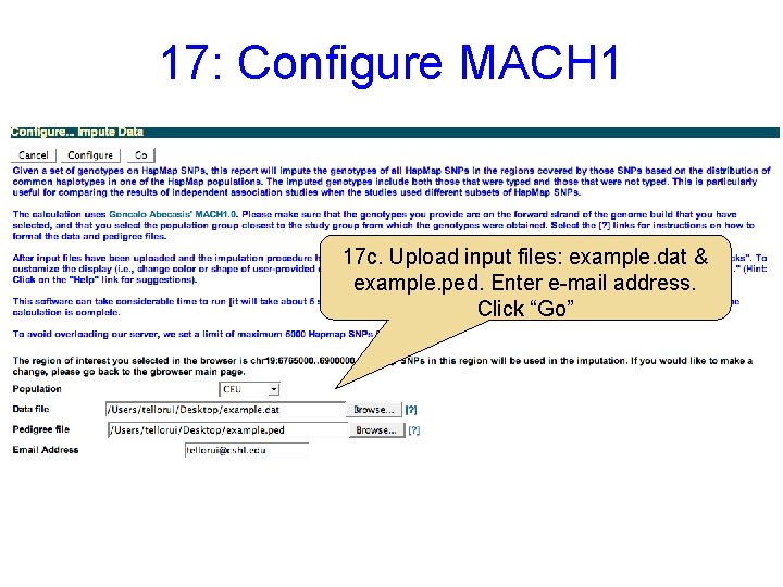 17: Configure MACH 1 17 c. Upload input files: example. dat & example. ped.