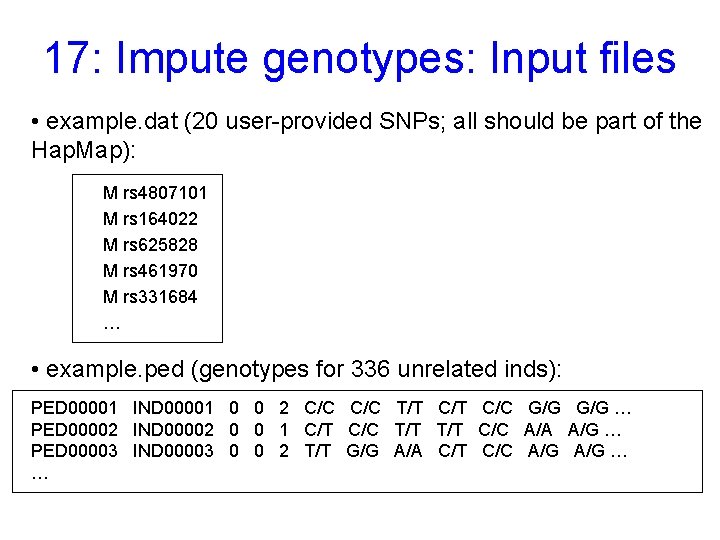 17: Impute genotypes: Input files • example. dat (20 user-provided SNPs; all should be