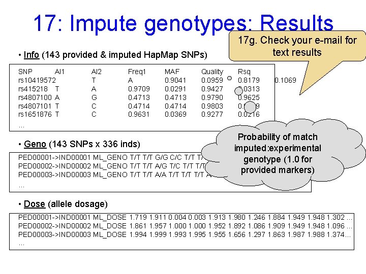 17: Impute genotypes: Results • Info (143 provided & imputed Hap. Map SNPs) SNP
