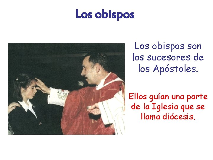 Los obispos son los sucesores de los Apóstoles. Ellos guían una parte de la