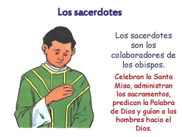 Los sacerdotes son los colaboradores de los obispos. Celebran la Santa Misa, administran los