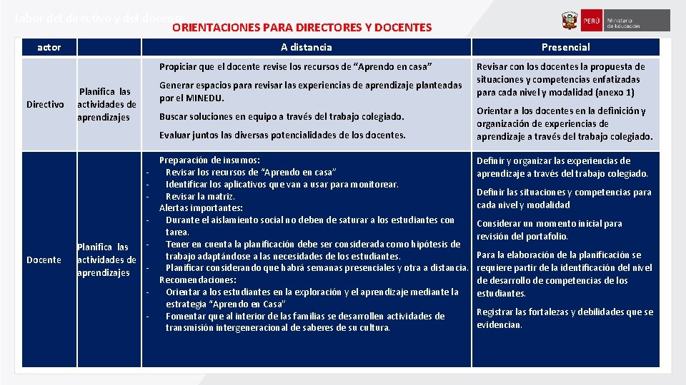 Labor del directivo y del docente ORIENTACIONES PARA DIRECTORES Y DOCENTES actor A distancia