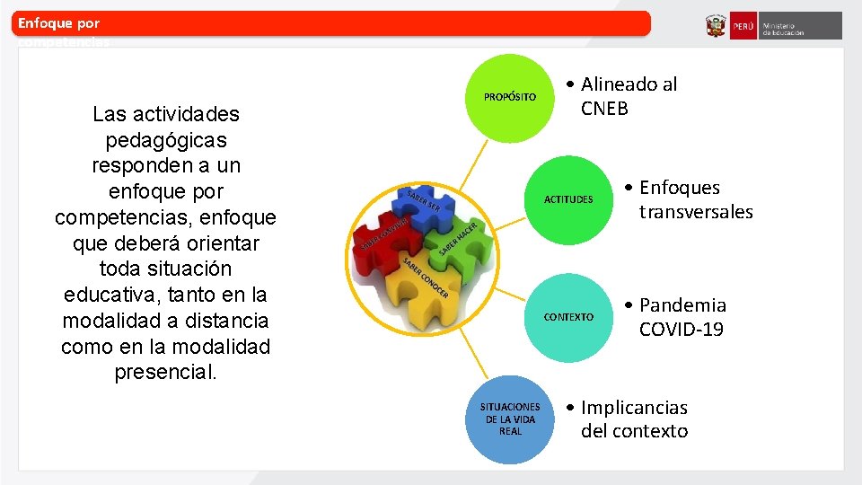 Enfoque por competencias Las actividades pedagógicas responden a un enfoque por competencias, enfoque deberá