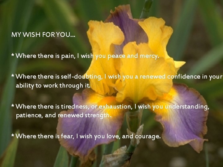 MY WISH FOR YOU. . . * Where there is pain, I wish you