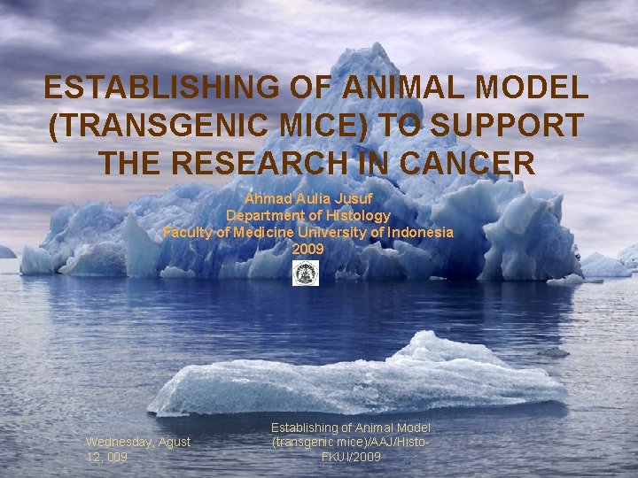 ESTABLISHING OF ANIMAL MODEL (TRANSGENIC MICE) TO SUPPORT THE RESEARCH IN CANCER Ahmad Aulia