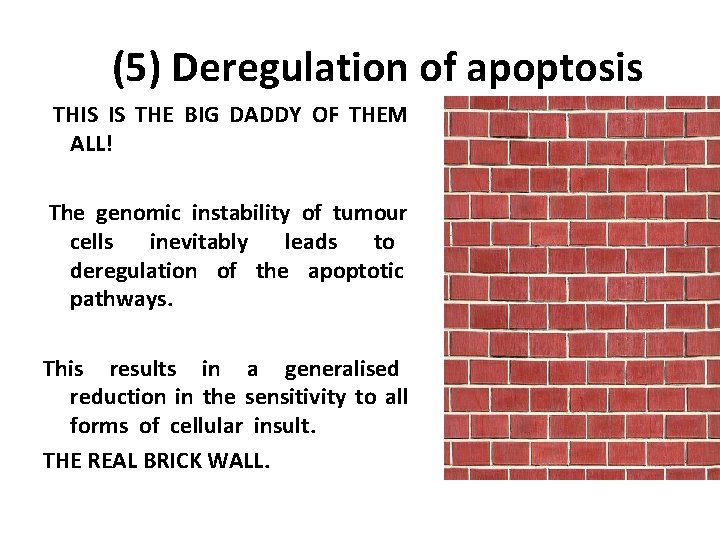 (5) Deregulation of apoptosis THIS IS THE BIG DADDY OF THEM ALL! The genomic