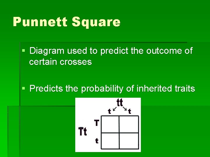 Punnett Square § Diagram used to predict the outcome of certain crosses § Predicts