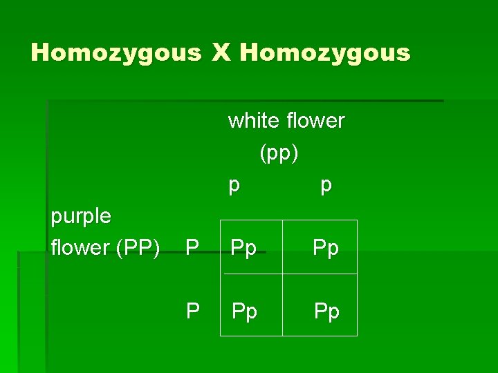 Homozygous X Homozygous white flower (pp) p p purple flower (PP) P Pp Pp