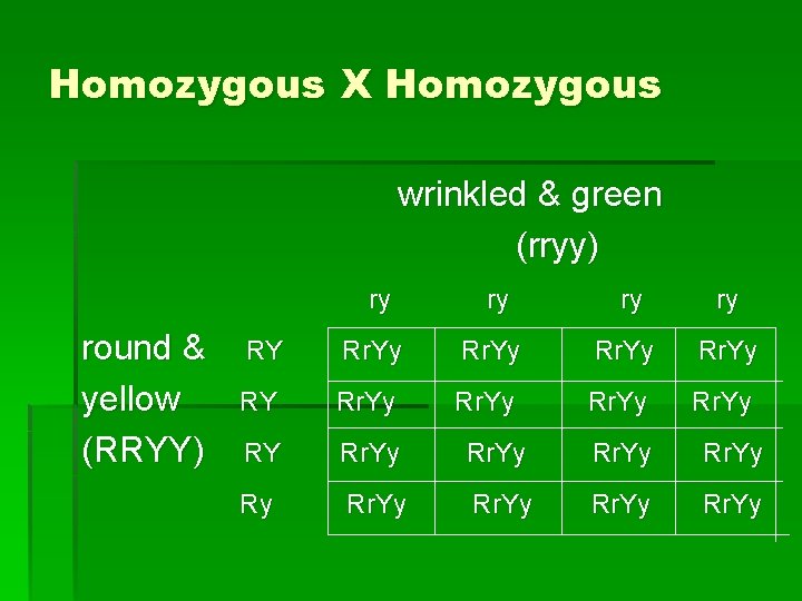 Homozygous X Homozygous wrinkled & green (rryy) round & yellow (RRYY) ry ry RY