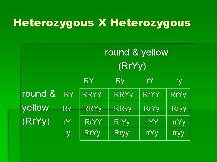 Heterozygous X Heterozygous round & yellow (Rr. Yy) RY Ry r. Y ry RY