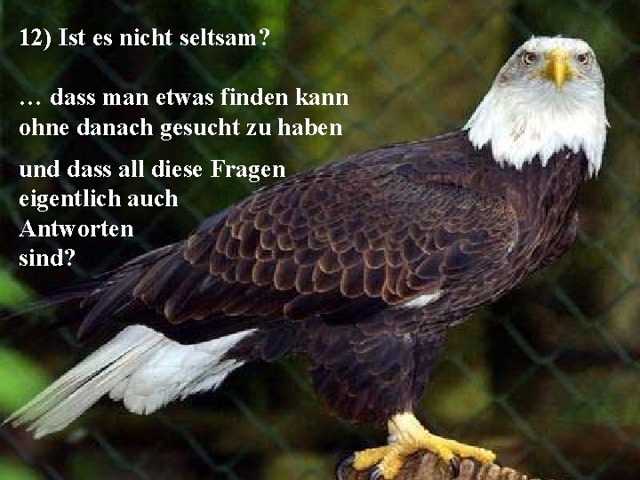 12) Ist es nicht seltsam? … dass man etwas finden kann ohne danach gesucht