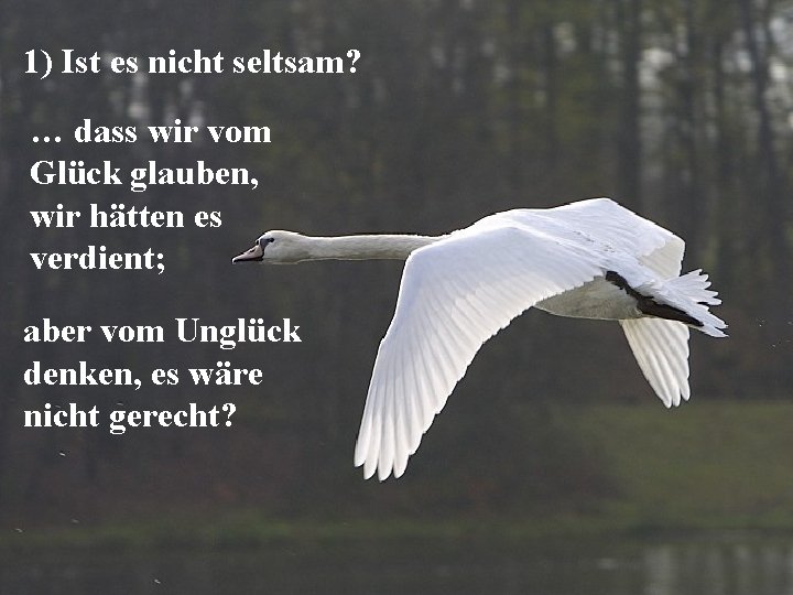 1) Ist es nicht seltsam? … dass wir vom Glück glauben, wir hätten es