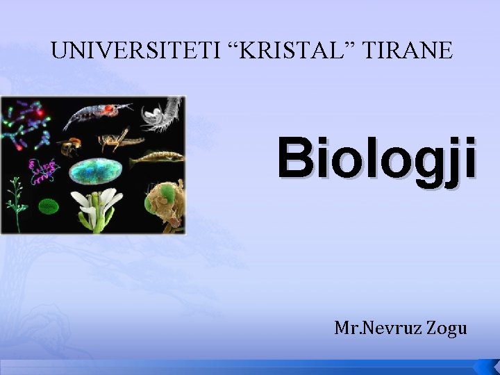 UNIVERSITETI “KRISTAL” TIRANE Biologji Mr. Nevruz Zogu 